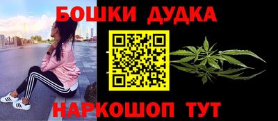 крисы Бийск