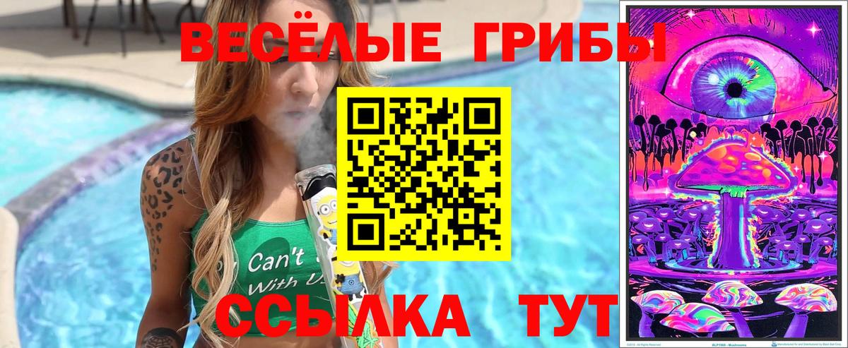 Псилоцибиновые грибы мухоморы Калининград